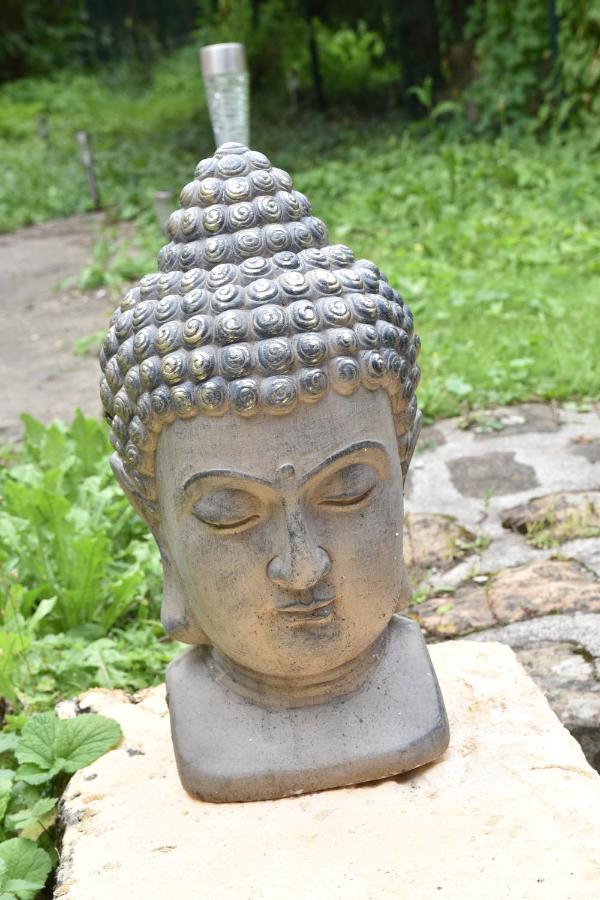 Secret Garden - Duplex Moderne - Jardin - Netflix - Apartment Provins Bagian luar foto